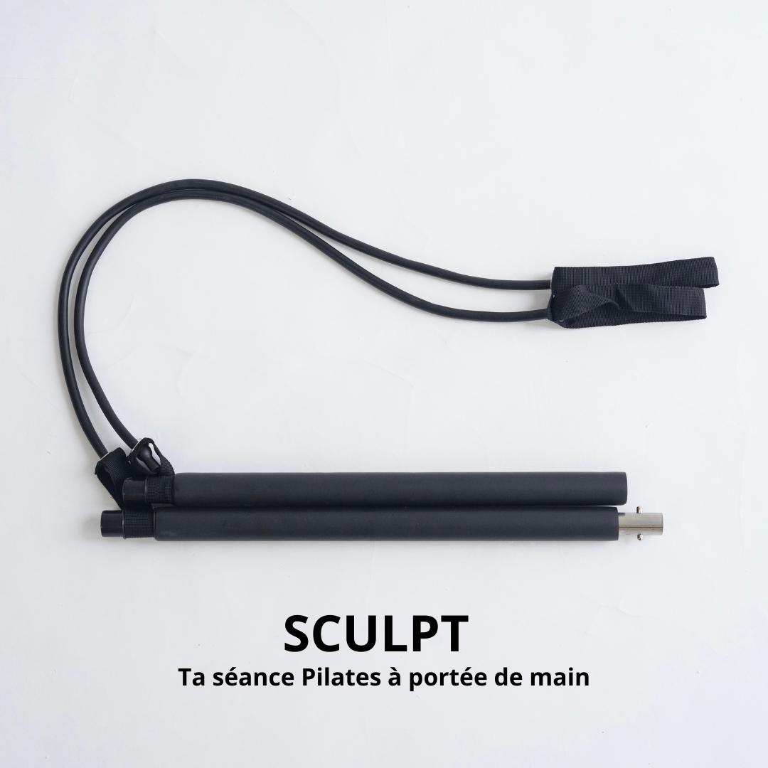 SCULPT